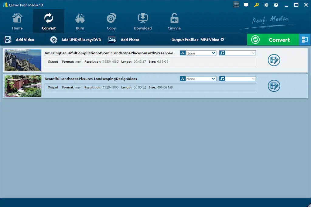 Tampilan Leawo Video Converter