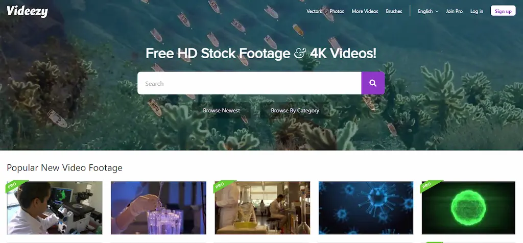 Situs Videezy untuk download stock video gratis tanpa watermark